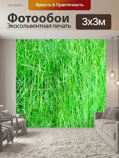 Фотообои Зеленый Длинные трава фон