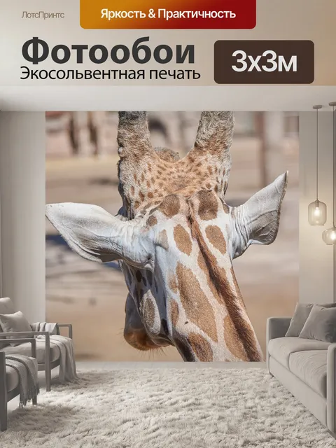 Фотообои Жирафа