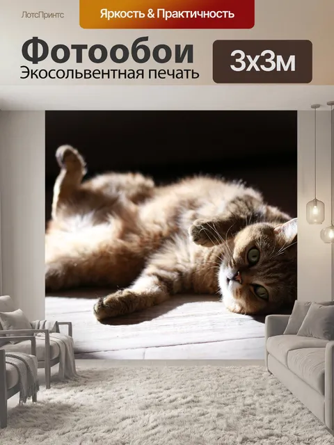 Фотообои Кошка
