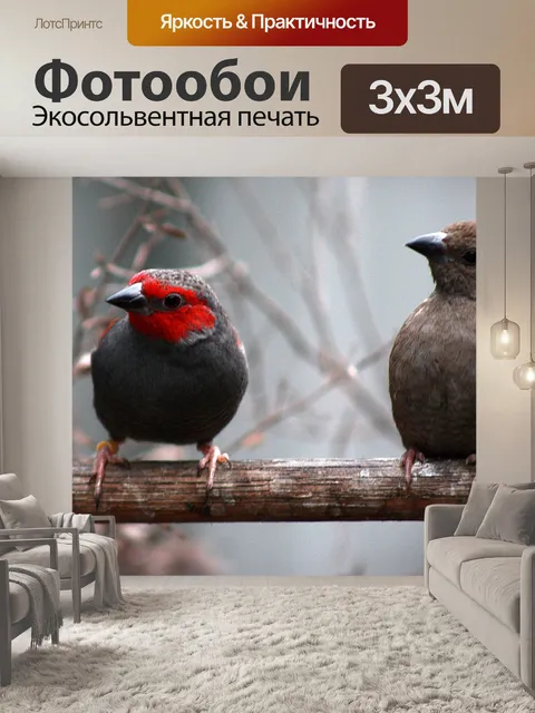 Фотообои Птицы