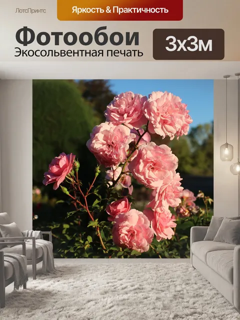 Фотообои Розы