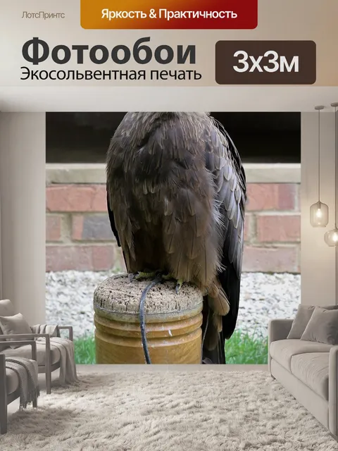 Фотообои Змей с желтым клювом