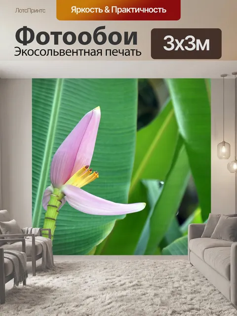 Фотообои Банановый цветок
