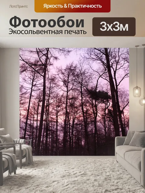 Фотообои Лес