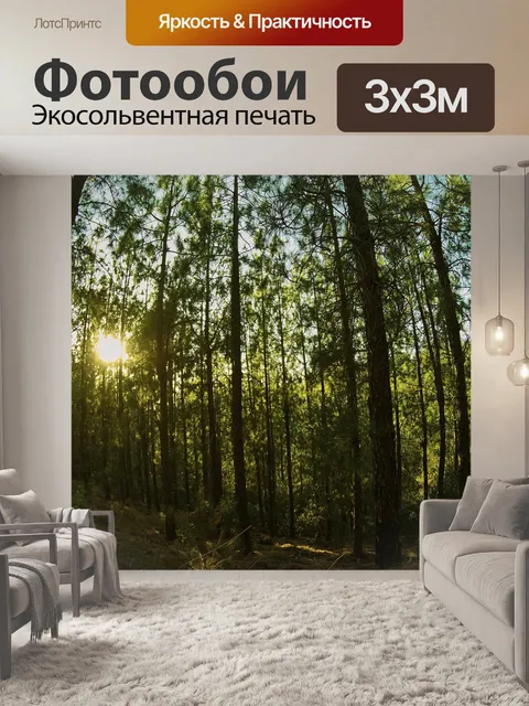 Фотообои Лес