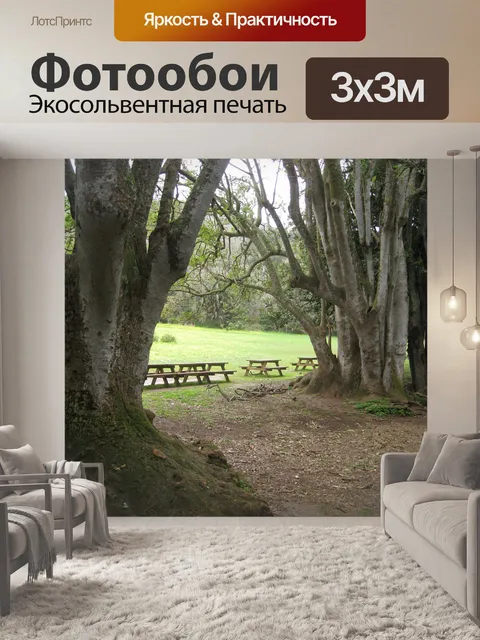 Фотообои Пейзаж