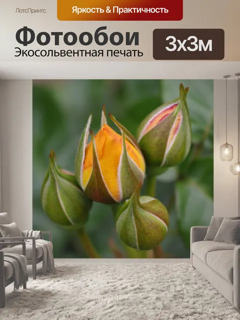 Фотообои Розы