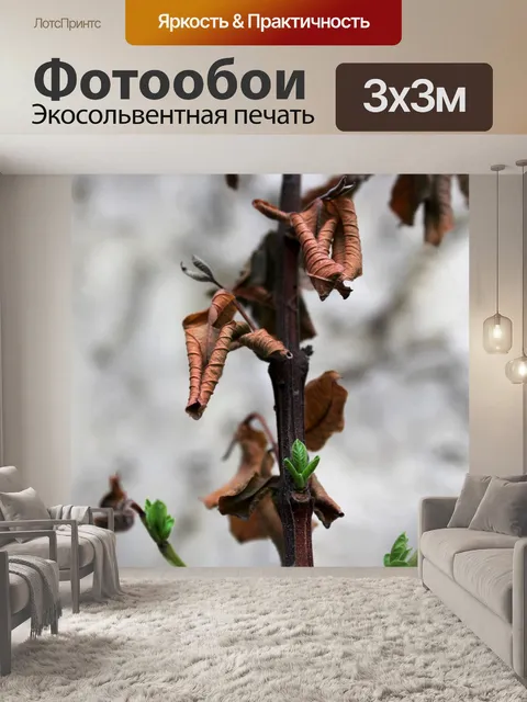 Фотообои Листья