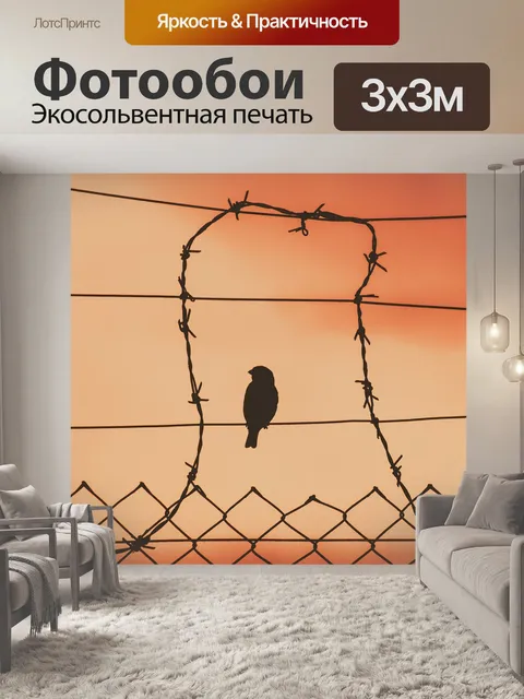 Фотообои Птица на проводе