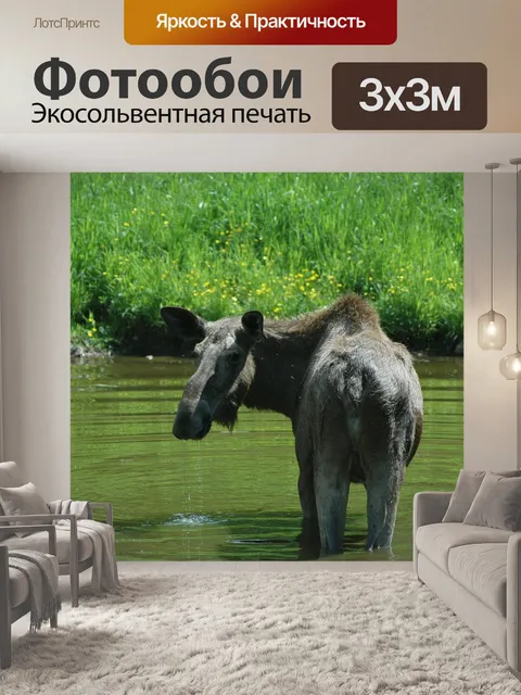 Фотообои Лось 1