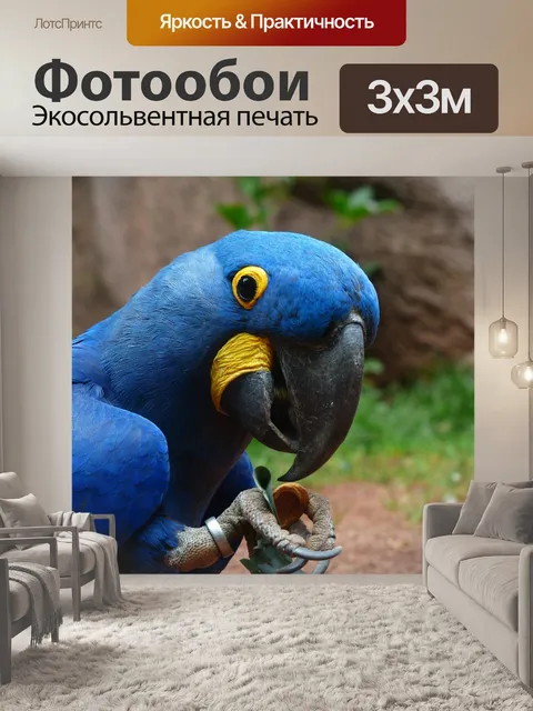 Фотообои Синие ара