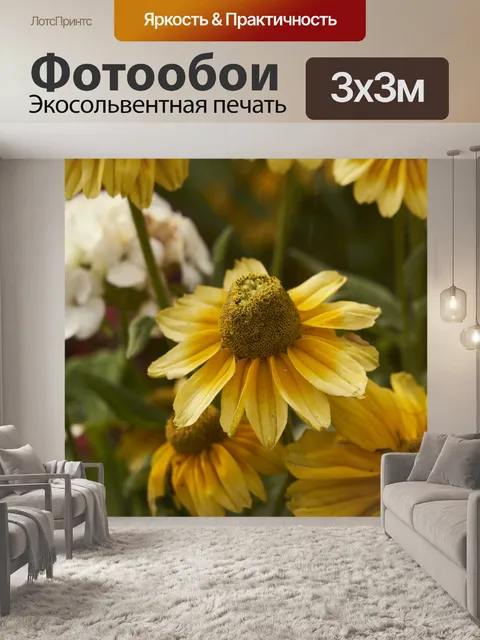 Фотообои Рудбекия, крупный цветок