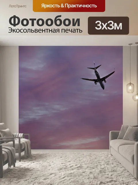 Фотообои самолет, летящий над головой