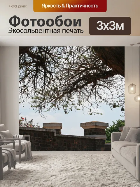 Фотообои вид акации внутри форта
