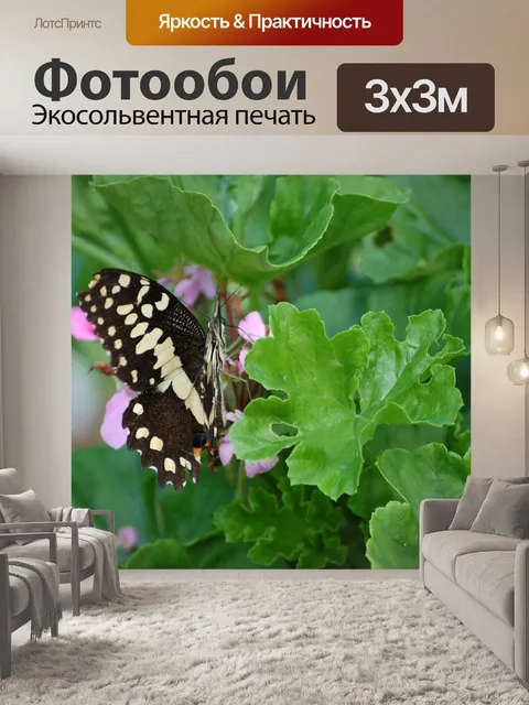 Фотообои Бабочка