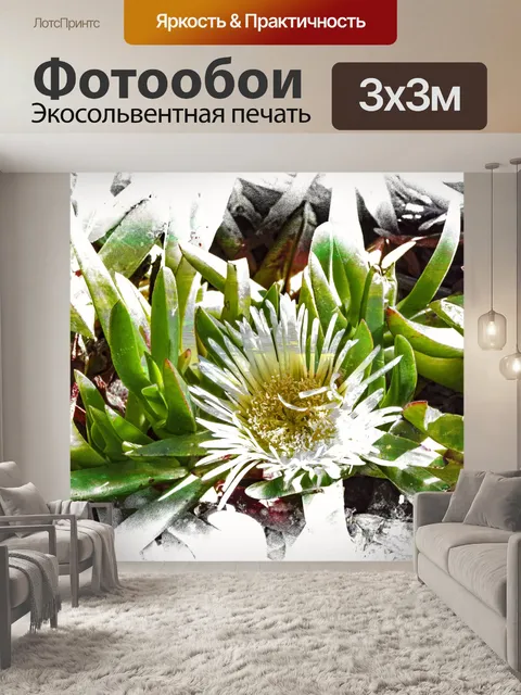 Фотообои Ледяной завод Цветок