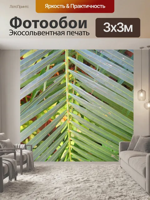 Фотообои зеленый пальмовых листьев