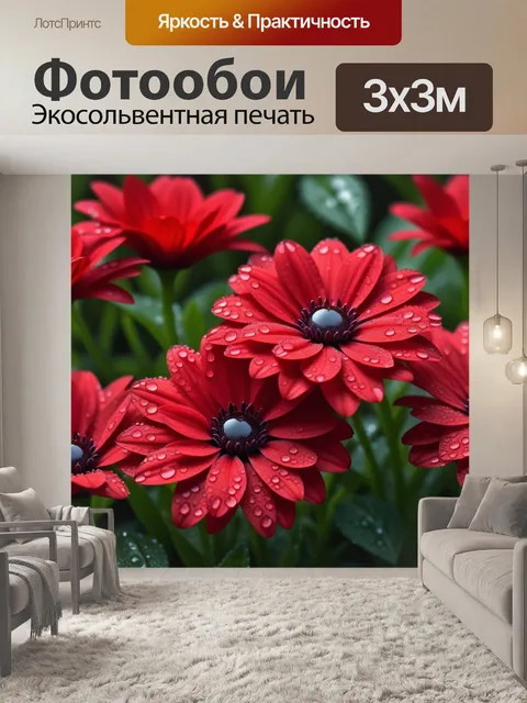 Фотообои красные цветы в росе утром