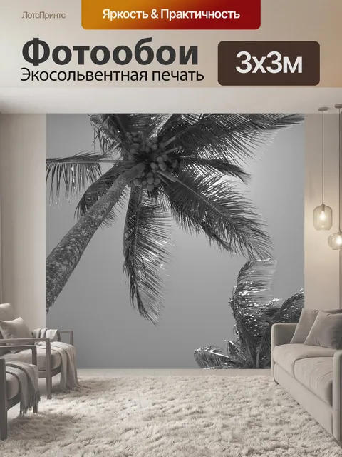 Фотообои Кокосовое дерево