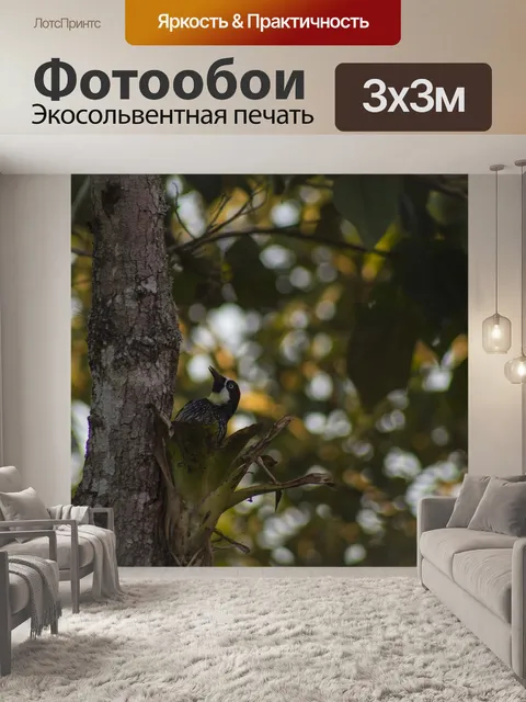Фотообои Птица
