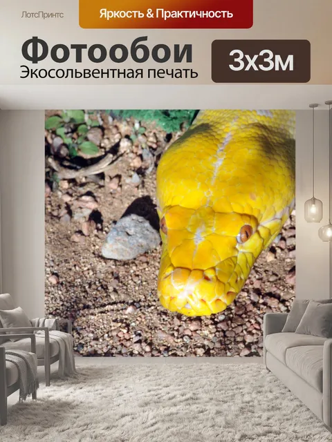 Фотообои Желтый Змей