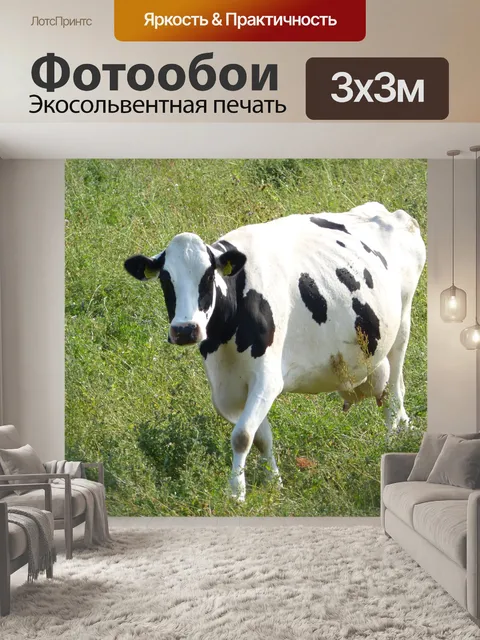 Фотообои Корова