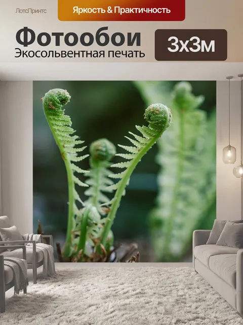 Фотообои Папоротник