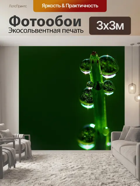 Фотообои Утренняя роса