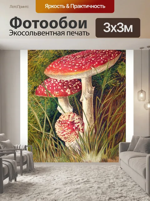 Фотообои Грибы-чемпионы винтажного искусства