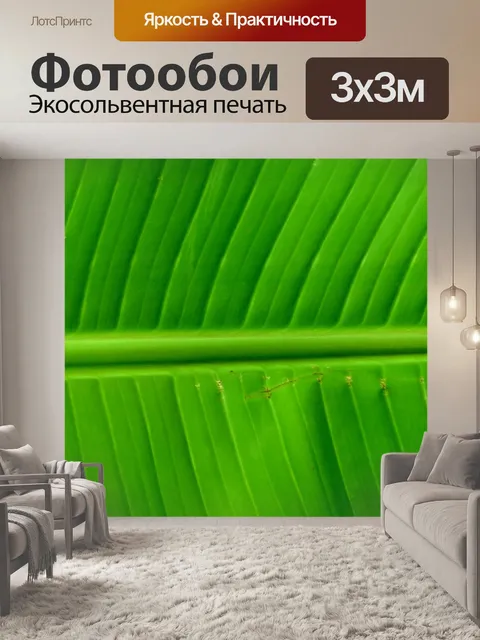 Фотообои Зеленый сад Фон
