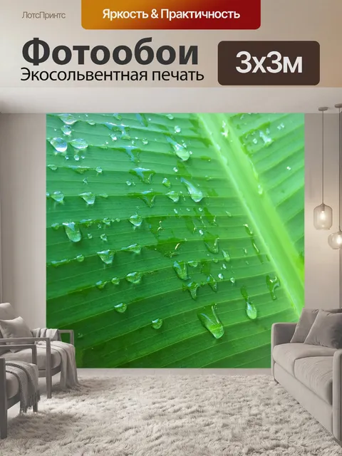 Фотообои Зеленый лист пальмы
