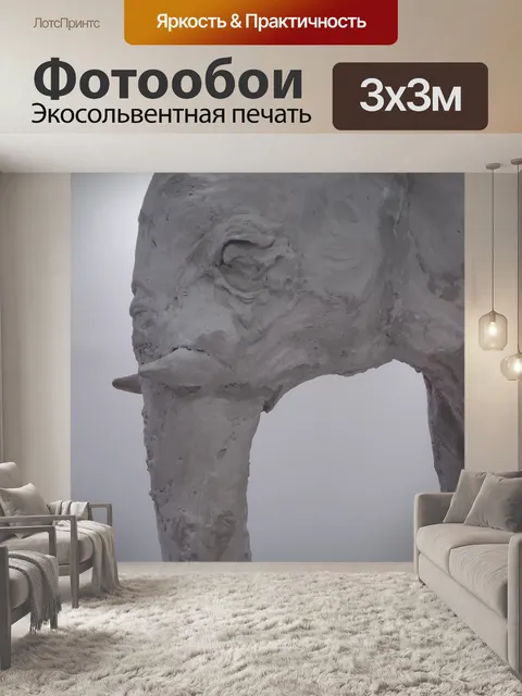 Фотообои Слон