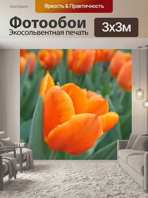 Фотообои Тюльпаны