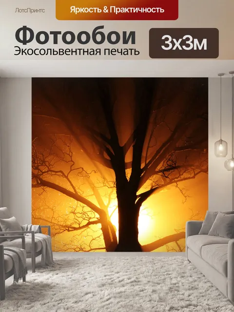Фотообои Лучи light