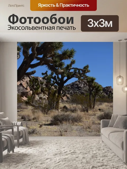 Фотообои Дерево Юкка