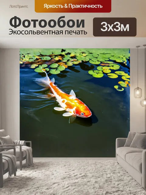 Фотообои крупный план величественного карпа кои, плавающего в спокойной воде пруда, окруженного нежными водорослями