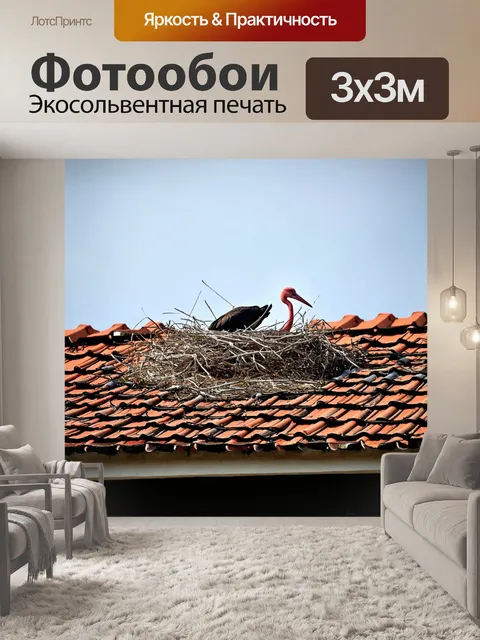 Фотообои аист, гнездящийся на старой крыше деревенского домика