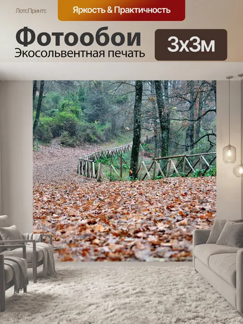 Фотообои Лес