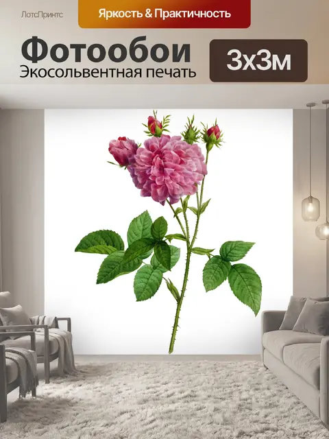 Фотообои Роза цветок старинная картина