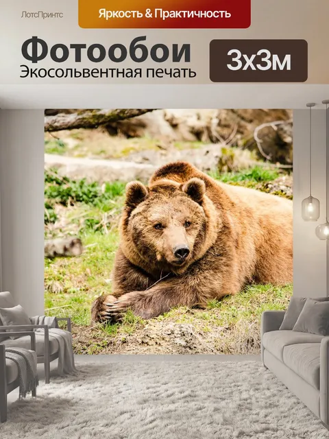 Фотообои Бурый медведь