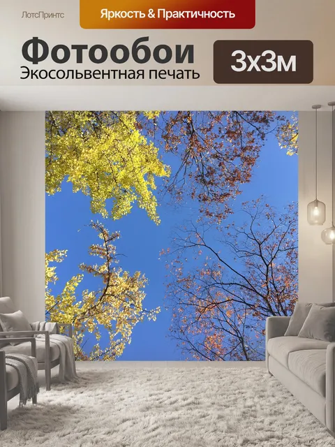 Фотообои Небо