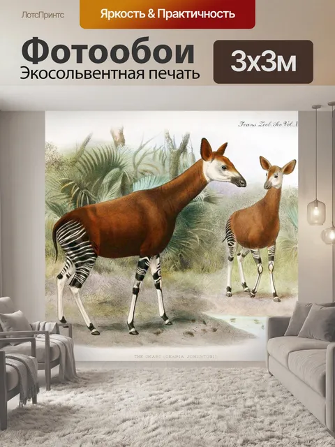 Фотообои Окапи старинный плакат искусства