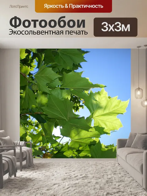 Фотообои Зеленые листья клена