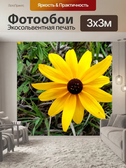 Фотообои Черные глаза Сьюзан