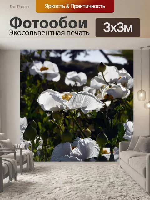 Фотообои Матилия Маки