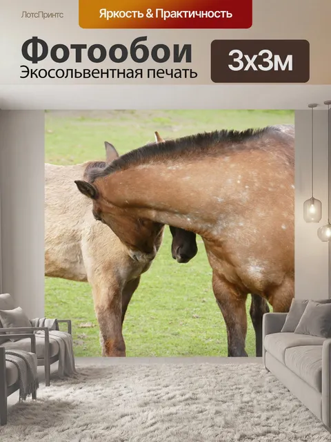 Фотообои Лошади
