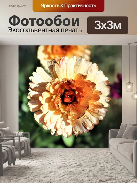 Фотообои Календулы