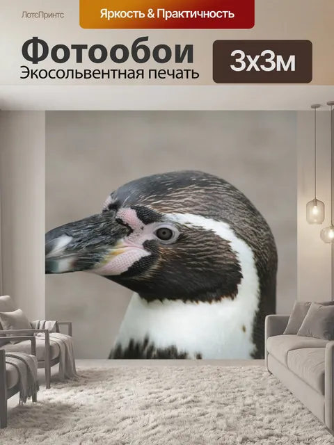 Фотообои Пингвин