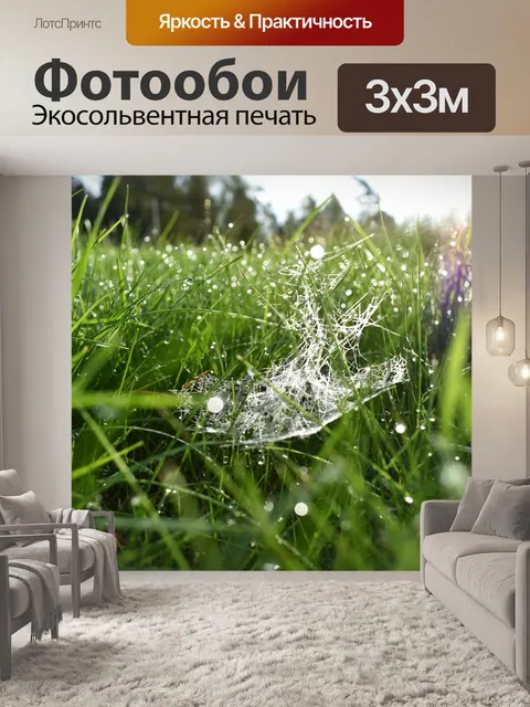 Фотообои Паук