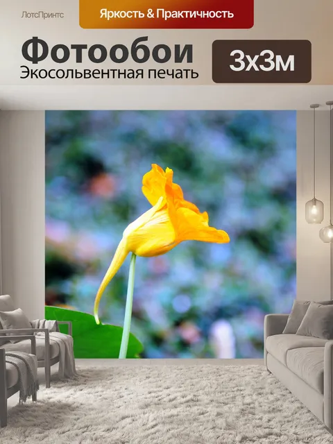 Фотообои Желтый цветок